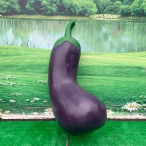 仿真茄子 玻璃鋼